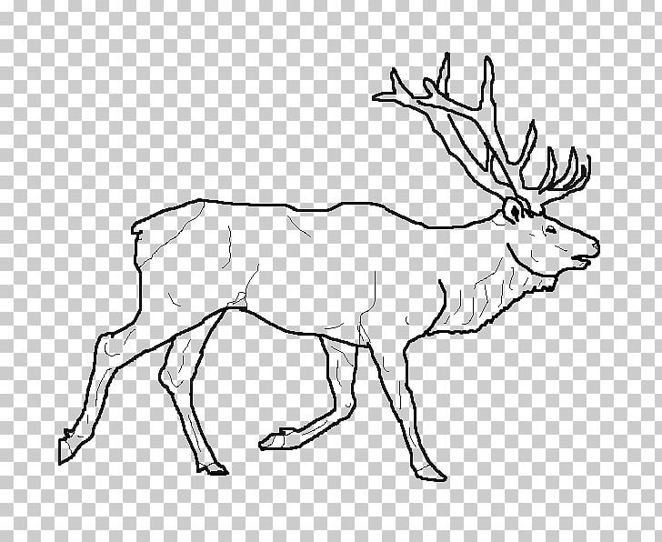 Elk Reindeer Drawing Line Art PNG, Clipart, Animal Figure, Antler, Black And White, Cartoon, Color Free PNG Download