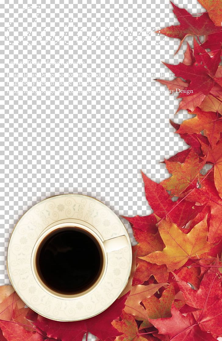 Autumn Colors PNG, Clipart, Autumn, Autumn Leaf Color, Coffee, Coffee Cup, Color Free PNG Download