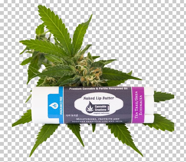 Cannabis Herb PNG, Clipart, Cannabis, Hemp, Hemp Family, Herb, Herbal Free PNG Download