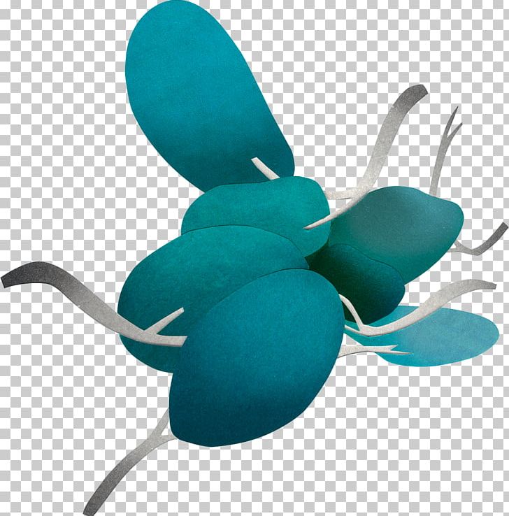Insect Turquoise Pollinator PNG, Clipart, Animal Crossing Pocket Camp, Animals, Insect, Membrane Winged Insect, Organism Free PNG Download
