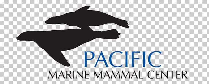 Pacific Marine Mammal Center The Marine Mammal Center Sea Lion PNG, Clipart, Black And White, Brand, California, Center, Elephant Seal Free PNG Download