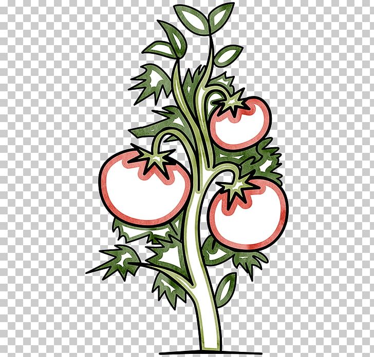 Tomato Floral Design Plant Cut Flowers PNG, Clipart, Artwork, Cut Flowers, Flora, Floral Design, Floristry Free PNG Download