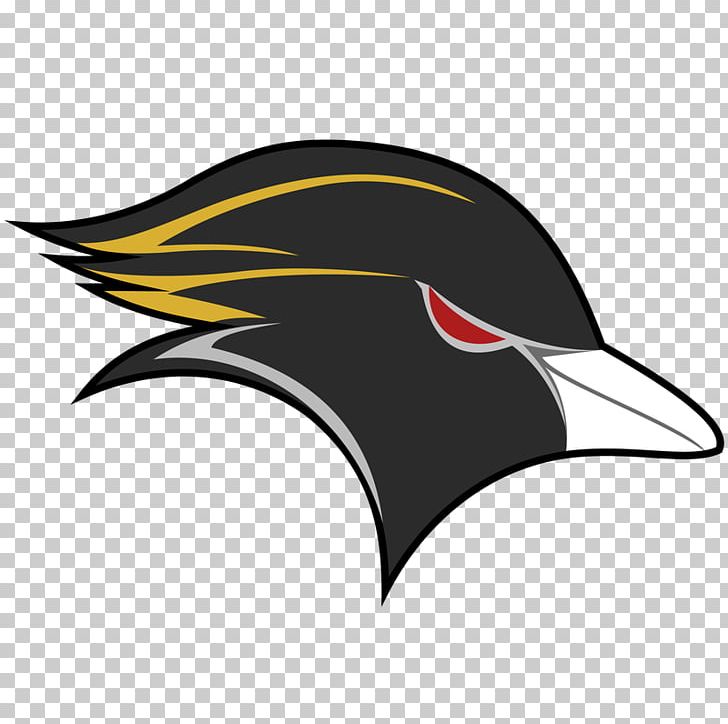 Beak Washington Redskins Copyright PNG, Clipart, Beak, Bird, Black, Black M, Copyright Free PNG Download