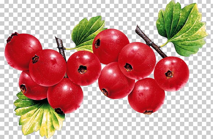 Blackcurrant Redcurrant Fruit Strawberry PNG, Clipart, Blackcurrant, Cherry, Citrus, Currant, Desktop Wallpaper Free PNG Download
