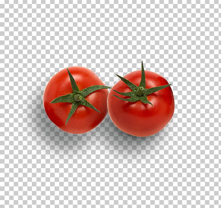 Hamburger Roma Tomato Cherry Tomato Vegetable Pizza PNG, Clipart, Bush Tomato, Diet Food, Food, Fruit, Hamburger Free PNG Download