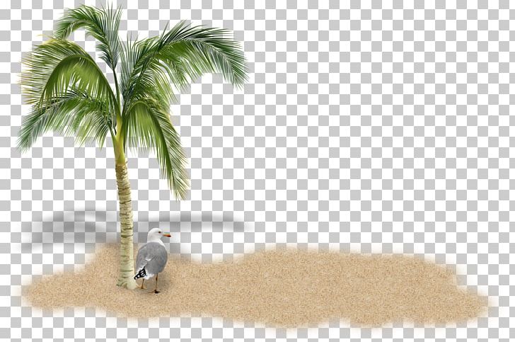 Stock Photography Arecaceae Tree PNG, Clipart, Arecaceae, Fauna, Fotosearch, Grass, Mammal Free PNG Download