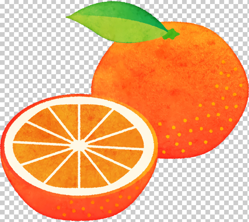 Orange PNG, Clipart, Blood Orange, Citric Acid, Citrus, Grapefruit, Lemon Free PNG Download