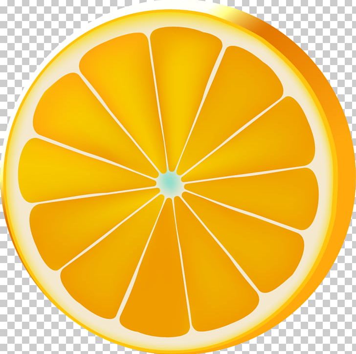 Lemon Circle Orange PNG, Clipart, Area, Buddhas Hand, Circle, Citrus, Flesh Free PNG Download