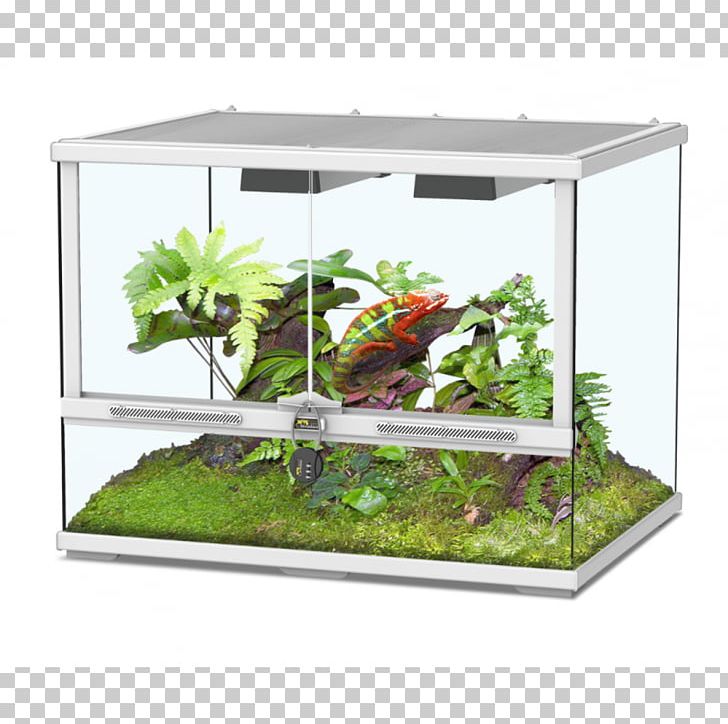 Terrarium Pets Reptile Vivarium Glass PNG, Clipart, Aquarium, Aquarium Decor, Biotope, Black, Cage Free PNG Download