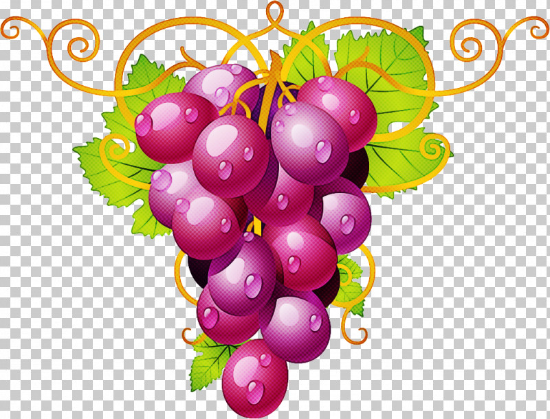 Grape Seedless Fruit Grapevine Family Fruit Plant PNG, Clipart, Berry, Currant, Flower, Food, Fruit Free PNG Download