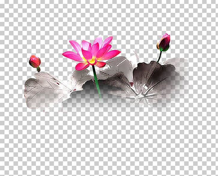 Floral Design Petal Heart Flowering Plant PNG, Clipart, Flora, Floral Design, Flower, Flower Arranging, Flowering Plant Free PNG Download