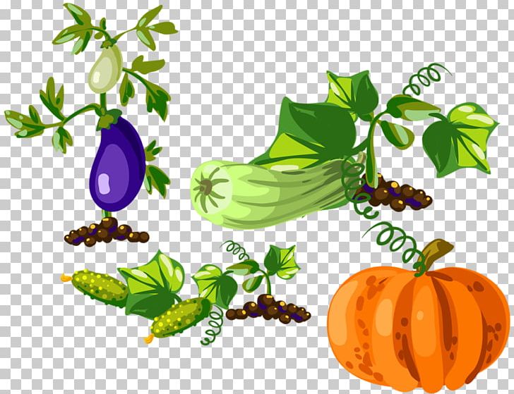 Pumpkin Gourd Eggplant Vegetable PNG, Clipart, Branch, Eggplant, Encapsulated Postscript, Flowering Plant, Food Free PNG Download