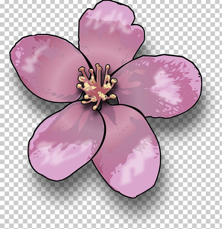 Cherry Blossom PNG, Clipart, Apple, Blossom, Cherry, Cherry Blossom, Drawing Free PNG Download