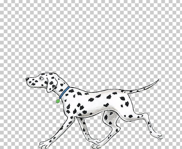 Dalmatian Dog Puppy Hairy Maclary From Donaldson's Dairy Dog Breed PNG, Clipart, Animals, Bitzer Maloney, Black And White, Body Jewelry, Book Free PNG Download