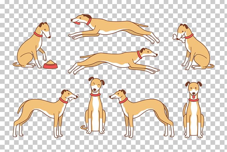 Italian Greyhound Whippet Spanish Greyhound Azawakh Sloughi PNG, Clipart, Ani, Animal Figure, Azawakh, Carnivoran, Cartoon Free PNG Download