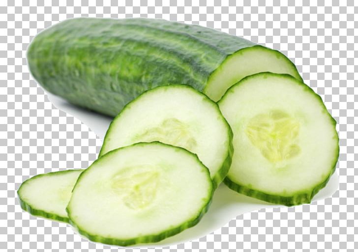 Cucumber Food Melon Vegetable Health PNG, Clipart, Bacteria, Cucumber, Cucumber Gourd And Melon Family, Cucumis, Eating Free PNG Download