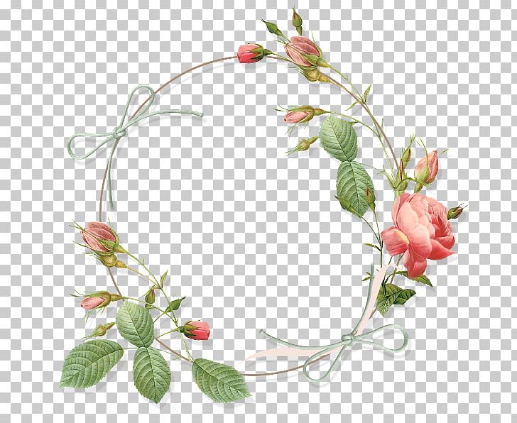 Garden Roses Flower Circle PNG, Clipart, Branch, Circle, Clip Art, Floral Design, Flower Free PNG Download