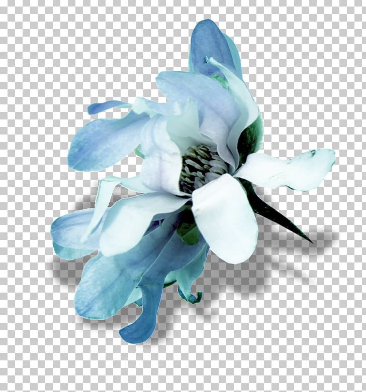 Cut Flowers Rose PNG, Clipart, Blue, Cut Flowers, Desktop Wallpaper, Flower, Flowering Plant Free PNG Download