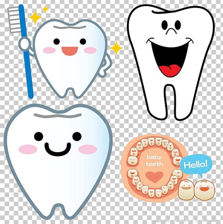 Deciduous Teeth Permanent Teeth Dentistry Tooth Eruption Child PNG, Clipart, Face, Free Logo Design Template, Happy Birthday Card, Happy Birthday Vector Images, Happy New Year Free PNG Download