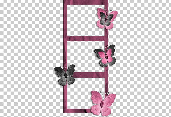 Frames Scrapbooking Paper PNG, Clipart, Butterfly, Cluster, Decoupage, Drawing, Film Frame Free PNG Download