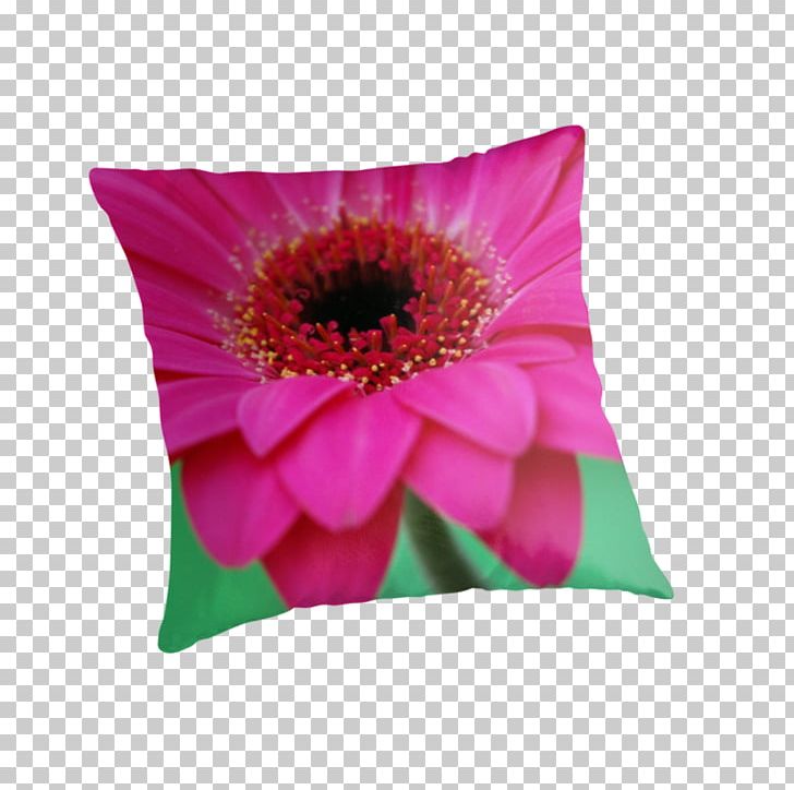 Throw Pillows Cushion Flowering Plant Petal PNG, Clipart, Cushion, Flower, Flowering Plant, Gerbera, Magenta Free PNG Download