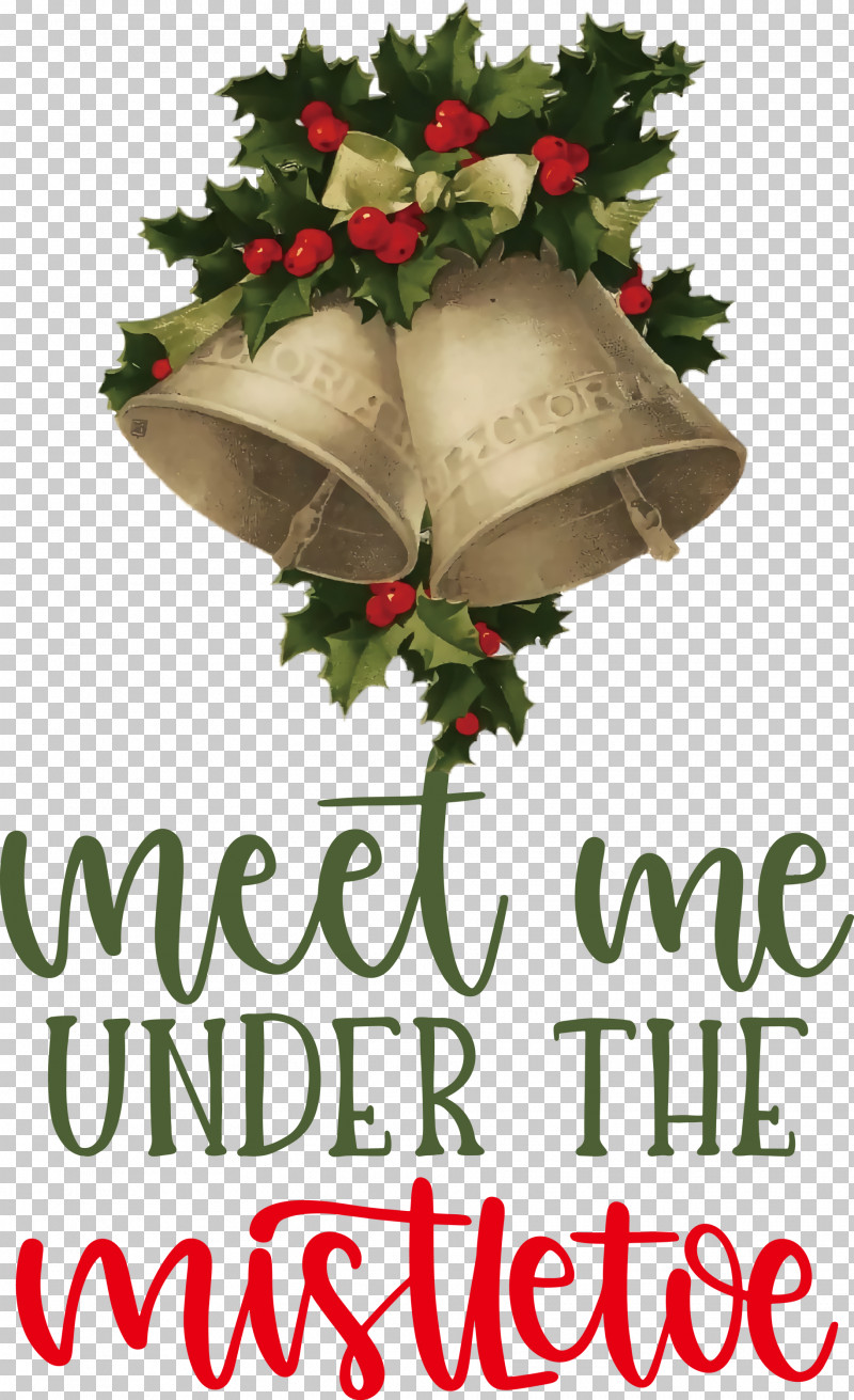 Meet Me Under The Mistletoe Mistletoe PNG, Clipart, Biology, Christmas Day, Christmas Ornament, Christmas Ornament M, Cut Flowers Free PNG Download