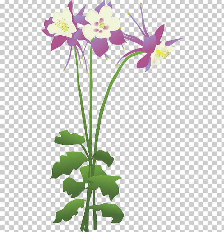Columbine Cut Flowers Floral Design PNG, Clipart, Child, Columbine, Cut Flowers, Flora, Floral Design Free PNG Download