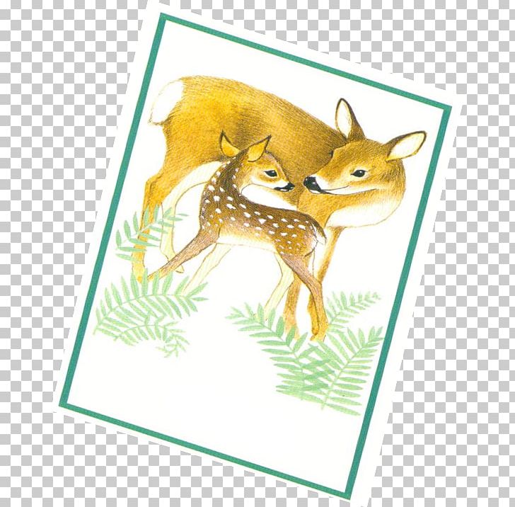 Deer Animales De Todo Tipo/Animals Of All Kinds: Espanol PNG, Clipart, Animal, Animals, Book, Deer, Dense Bushes Free PNG Download