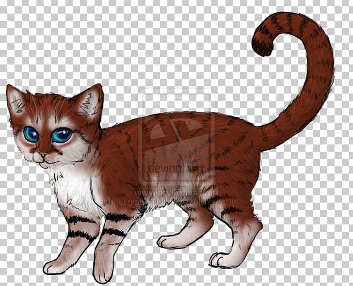 Domestic Short-haired Cat European Shorthair American Wirehair Whiskers Tabby Cat PNG, Clipart, Asi, Asia, Carnivoran, Cartoon, Cartoon Animals Free PNG Download