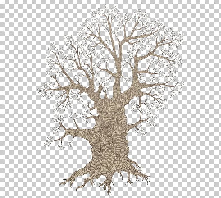 Root Tree PNG, Clipart, Branch, Nature, Oak, Plant, Root Free PNG Download