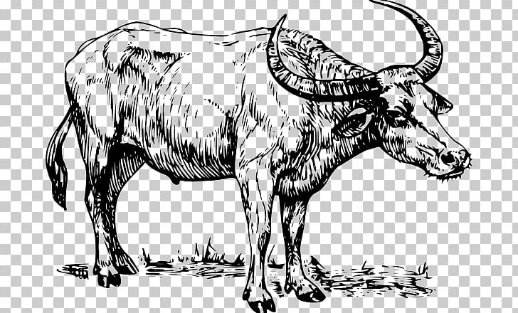 Buffalo Drawing PNG, Clipart, Animal Figure, Art, Art Museum, Buffalo, Cow Goat Family Free PNG Download