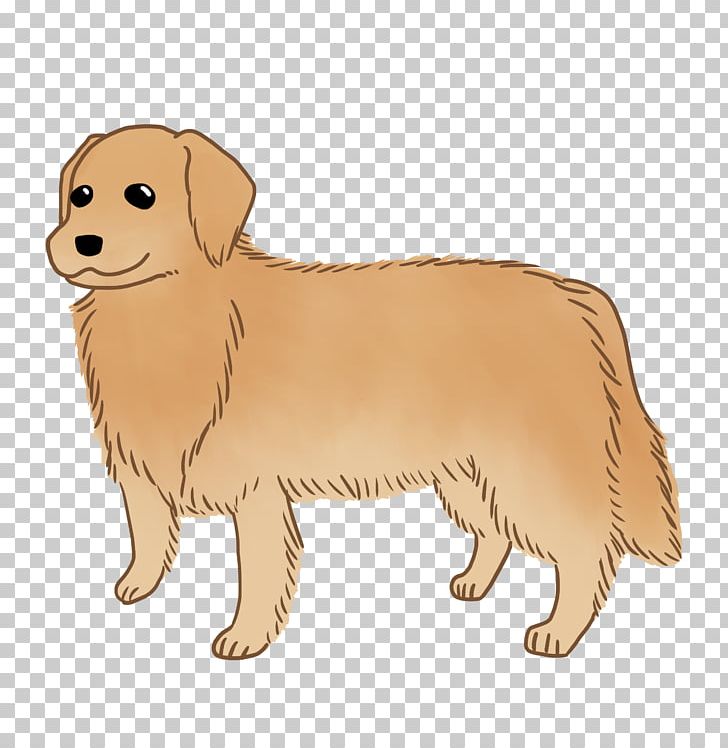 Golden Retriever Nova Scotia Duck Tolling Retriever Puppy Dog Breed Companion Dog PNG, Clipart, Animals, Carnivoran, Companion Dog, Dog Breed, Dog Breed Group Free PNG Download