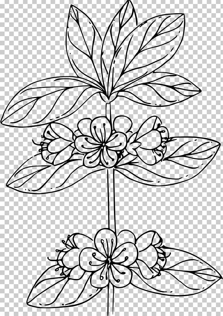 Coloring Book Floral Design Flower PNG, Clipart, Area, Art, Azalea, Black And White, Branch Free PNG Download