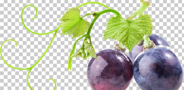 Common Grape Vine Food Stock Photography PNG, Clipart, Auglis, Berry, Common Grape Vine, Food, Food Energy Free PNG Download