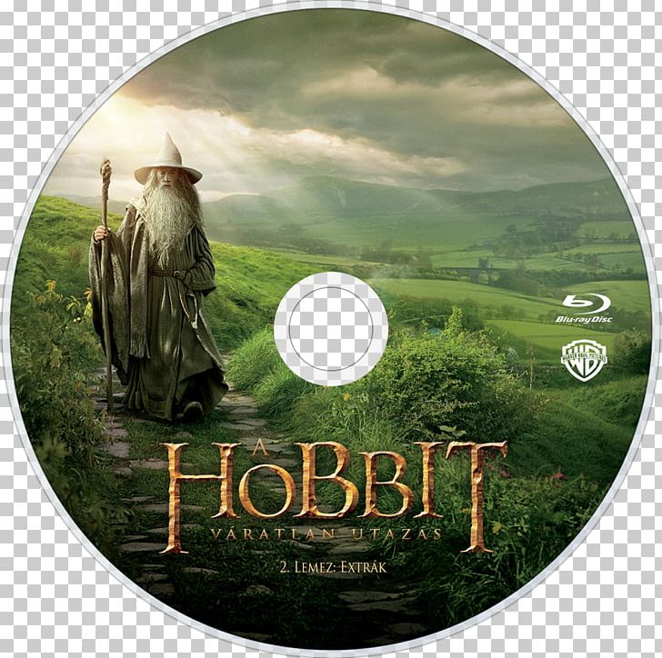 Gandalf Bilbo Baggins The Hobbit Wizard PNG, Clipart, Bilbo Baggins, Desolation Of Smaug, Dvd, Dwarf, Film Free PNG Download