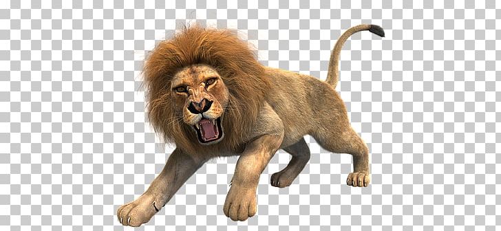 Lion PNG, Clipart, Lion Free PNG Download