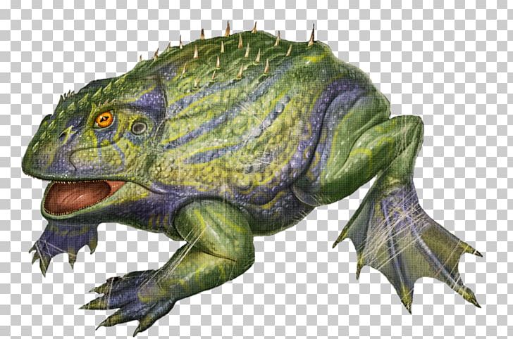 ARK: Survival Evolved Compsognathus Devil Frog Stegosaurus PNG, Clipart, Animals, Ark, Ark Survival Evolved, Bullfrog, Compsognathus Free PNG Download