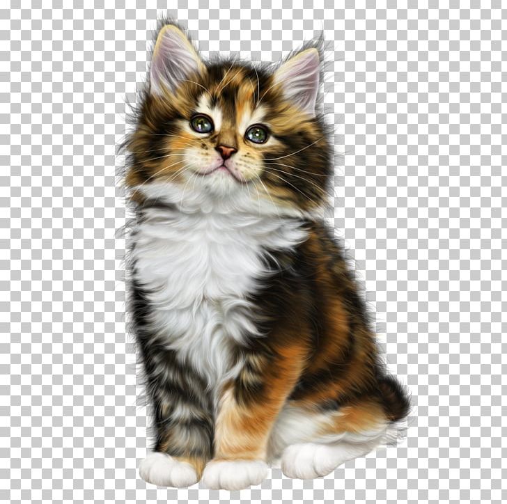 Cat Woman Kitten PNG, Clipart, Alpha, American Wirehair, Animal, Animals, Blog Free PNG Download
