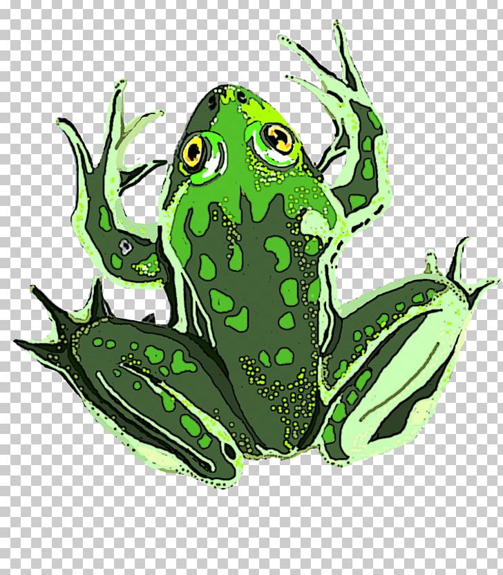 True Frog Amphibian Tree Frog Vertebrate PNG, Clipart, Amphibian, Animal, Animals, Character, Fiction Free PNG Download
