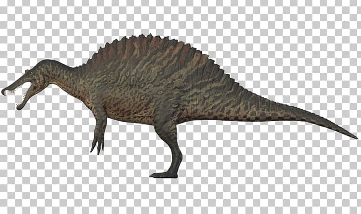 Tyrannosaurus Spinosaurus Baryonyx Giganotosaurus Utahraptor PNG, Clipart, Anima, Baryonyx, Beak, Carnivore, Carnivores Dinosaur Hunter Free PNG Download