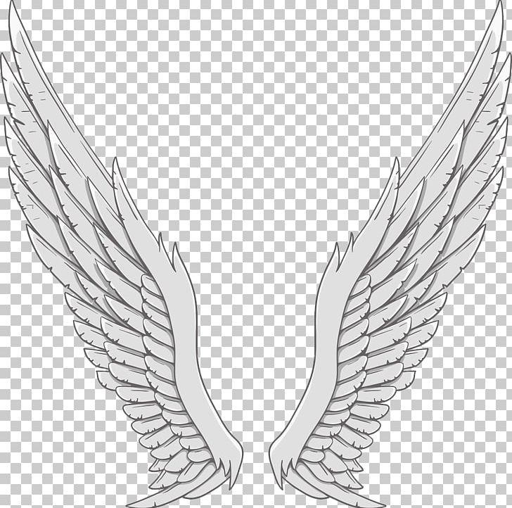 Angel Wing White PNG, Clipart, Angel, Angels, Angel Wing, Angel Wings, Angle Free PNG Download