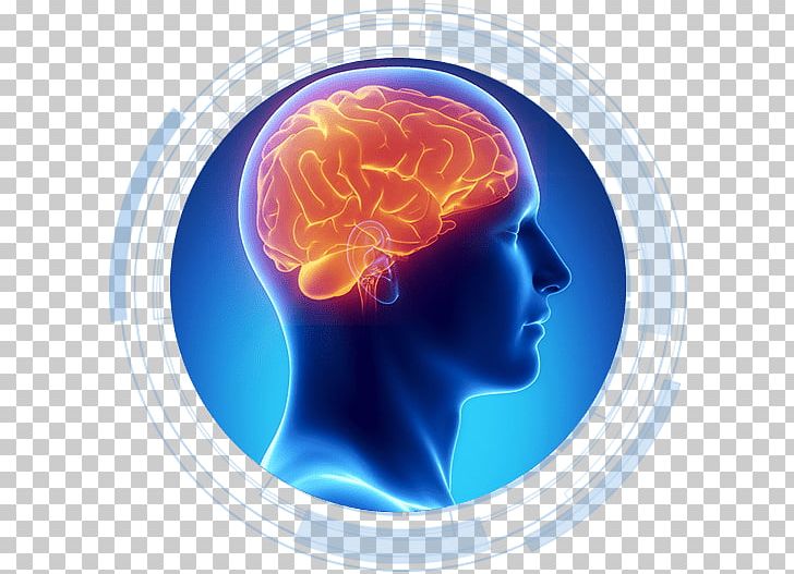 Brain Science Learning Medicine Nerve PNG, Clipart, American Heart Association, Brain, Cardiac Arrest, Central Nervous System, Disease Free PNG Download