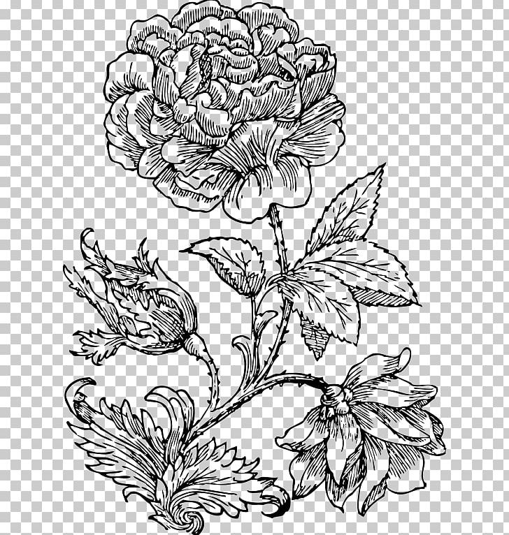 Drawing Garden Roses Flower Watercolor Painting Sketch PNG, Clipart, Artwork, Black And White, Chrysanths, Coloring Book, Fictional Character Free PNG Download