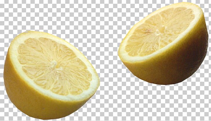 Lemon Citric Acid Citrus PNG, Clipart, Acid, Citric Acid, Citrus, Discussion, Fauna Free PNG Download