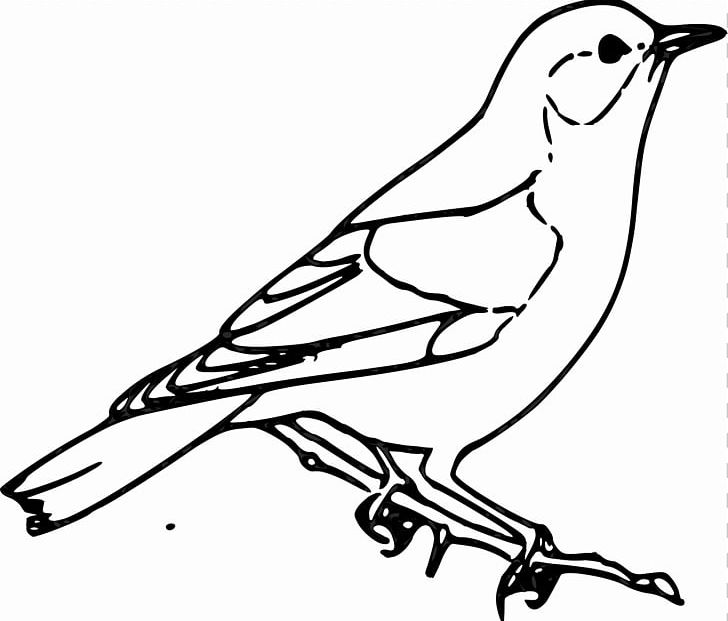 Sparrow Bird Drawing PNG, Clipart, Animals, Art, Artwork, Beak, Bird Free PNG Download