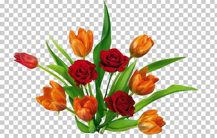 Tulip Flower PNG, Clipart, Bloom, Blooming, Blooming Lilies, Bouquet, Cut Flowers Free PNG Download
