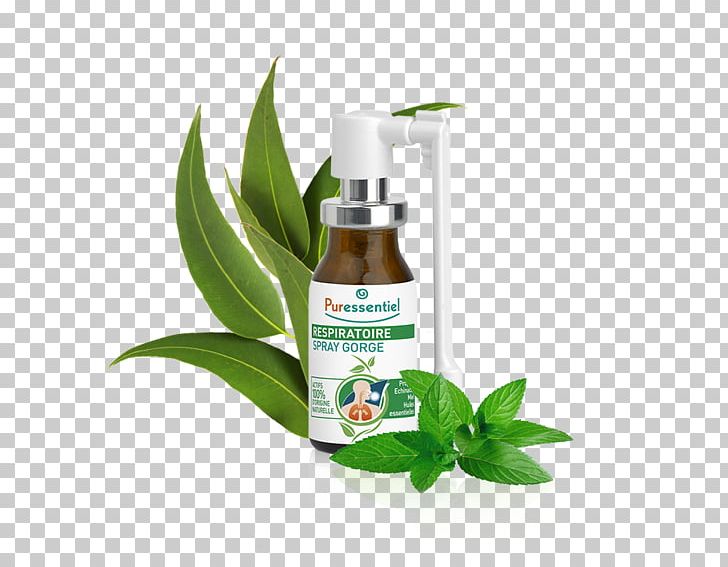 Sore Throat Respiratory System Health Oil PNG, Clipart, Aromatherapy, Coneflower, Essential Oil, Food, Health Free PNG Download
