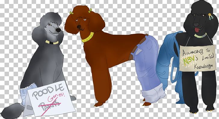 Standard Poodle Puppy Cat Dog Grooming PNG, Clipart, Animal, Animals, Bark, Breed, Bulldog Free PNG Download