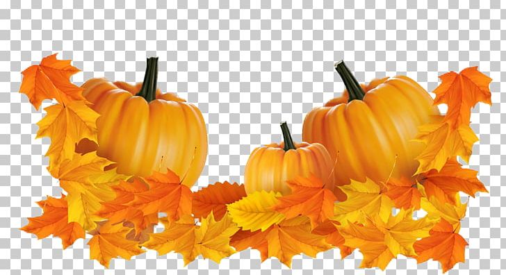 Jack-o-lantern Calabaza Pumpkin PNG, Clipart, Bumper, Creative Posters, Food, Free Logo Design Template, Fruit Free PNG Download