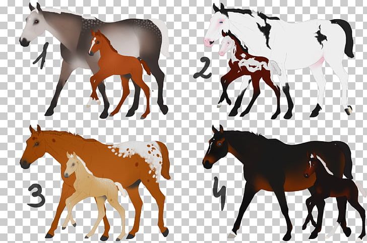 Mustang Foal Mare Appaloosa American Paint Horse PNG, Clipart, Ameri, American Paint Horse, Animal Figure, Appaloosa, Bay Free PNG Download